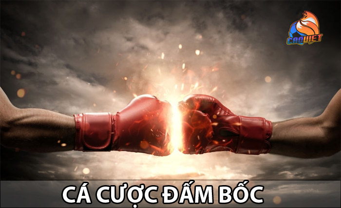 Cách chơi cá độ đám bốc (Boxing) hiệu quả tại nhà cái FI88