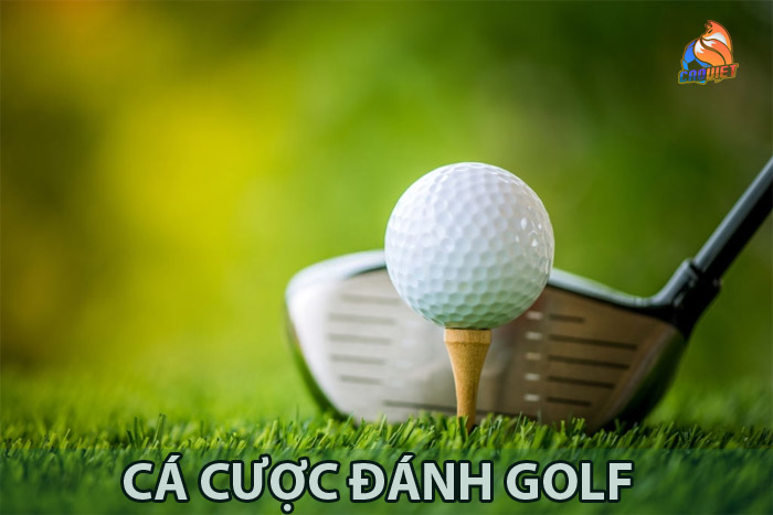 Hướng dẫn chơi và chọn nhà cái cá cược đánh golf