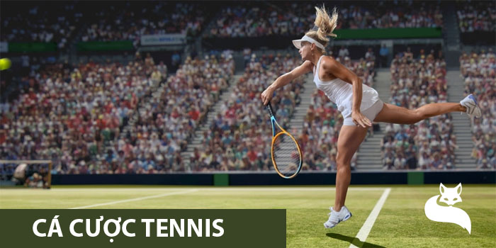 Thông tin bạn cần biết và nhà cái chơi cá cược tennis