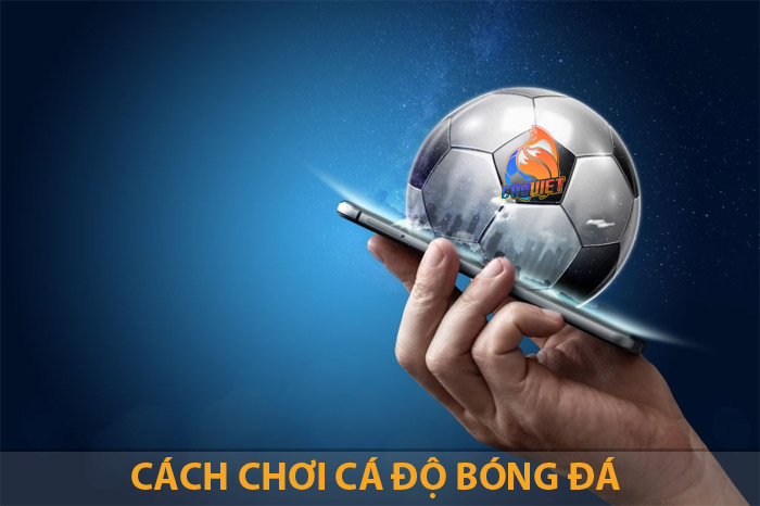 Cách Chơi Cá Độ Bóng Đá Chuẩn Từ A-Z Cho Người Mới
