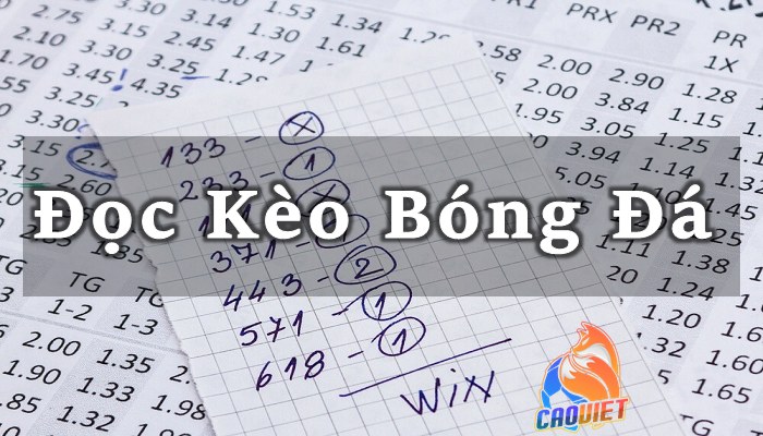 Cách đọc kèo bóng đá