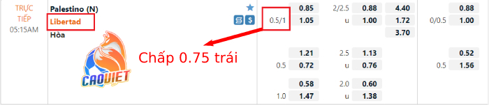cách xem độ bóng đá