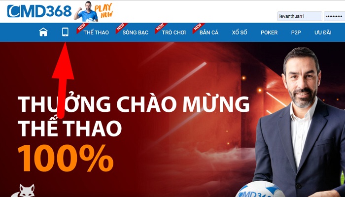 tải cmd368