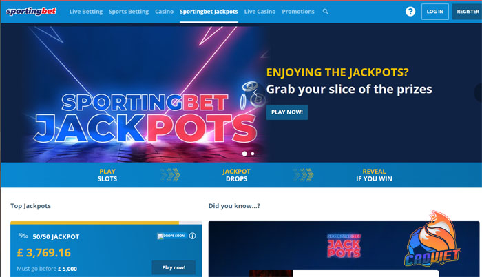 trang cá cược sportingbet