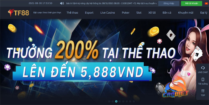 trang nhà cái tf88
