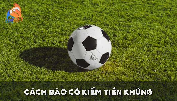 Cách kiếm tiền cỏ hiệu quả trong cá cược bóng đá 2025