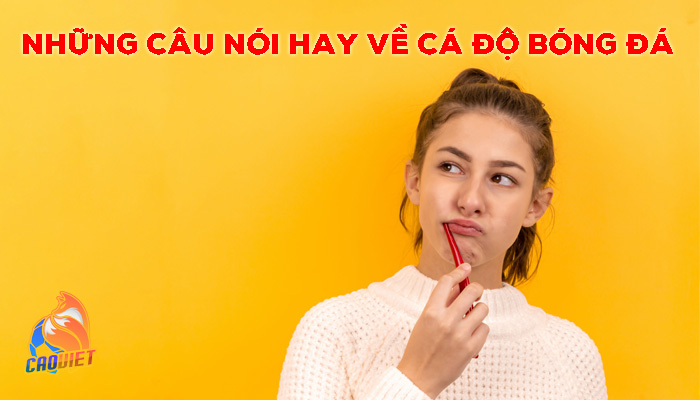 Những câu nói hay cá độ bóng đá vừa chất vừa hài hước