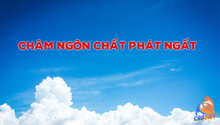 châm ngôn về cá độ bóng đá