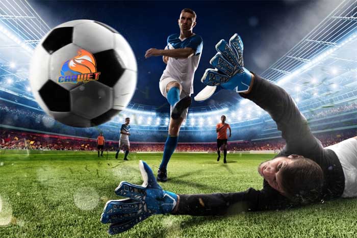 Cược Thắng Áp Đảo | Bí Quyết Chơi Kèo Win to Nil Đỉnh Cao Và Hấp Dẫn