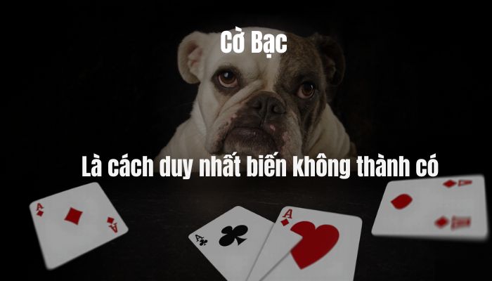 Hình ảnh những câu nói hay về cờ bạc