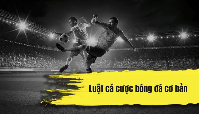 Hình ảnh luật cá cược bóng đá cơ bản
