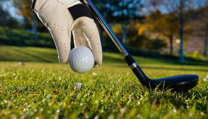 Hình ảnh cá hình thức cược đánh golf