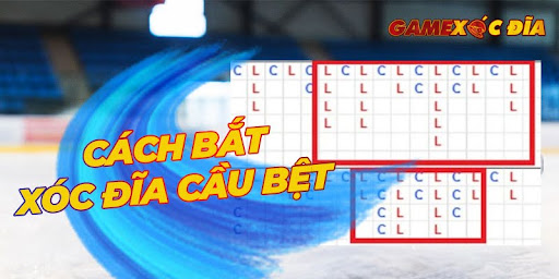 Hướng dẫn cách bắt xóc đĩa cầu bệt