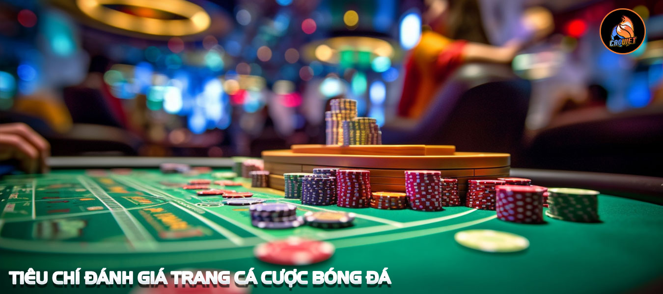 thong tin ve trang ca cuoc bong da