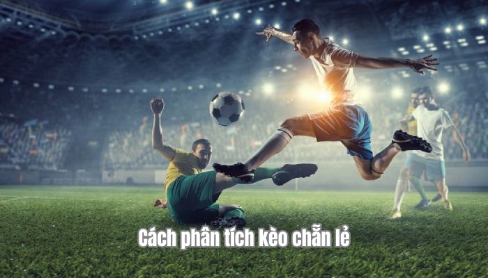 Hình ảnh cách phân tích kèo chẵn lẻ
