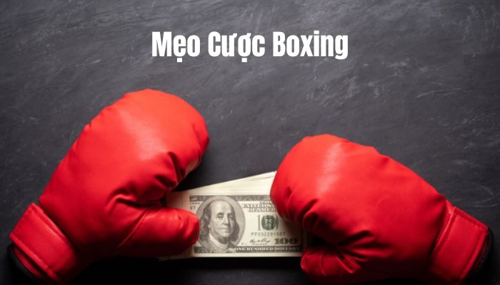 Hình ảnh mẹo chơi cá cược đua bi