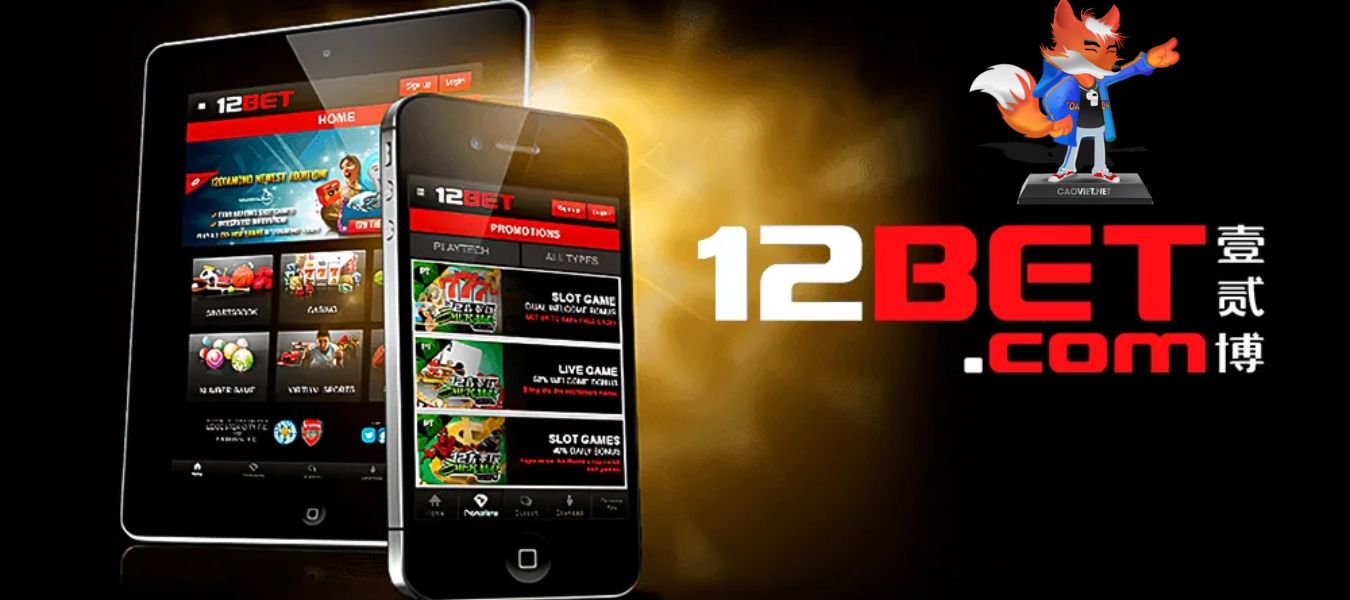 Hình ảnh Sân chơi cá cược trải nghiệm vip 12bet