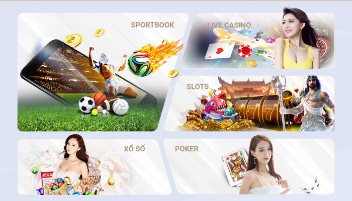 HÌnh ảnh trải nghiệm cá cược tại tobet