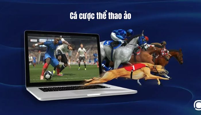 Hình ảnh cá cược thể thao ảo