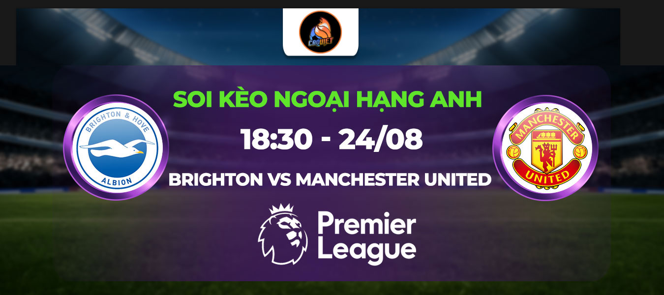 Soi kèo Brighton đấu với Manchester United lúc 18h30 ngày 24/08: Quỷ Đỏ tiếp đà chiến thắng