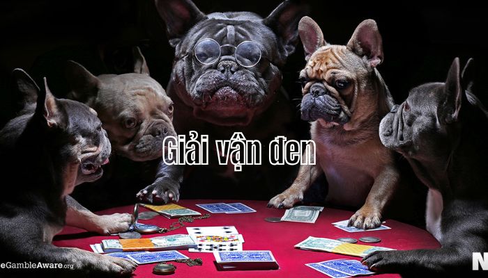 Hình ảnh vì sao cần giải vận đen