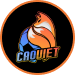 Hình ảnh logo caoviet