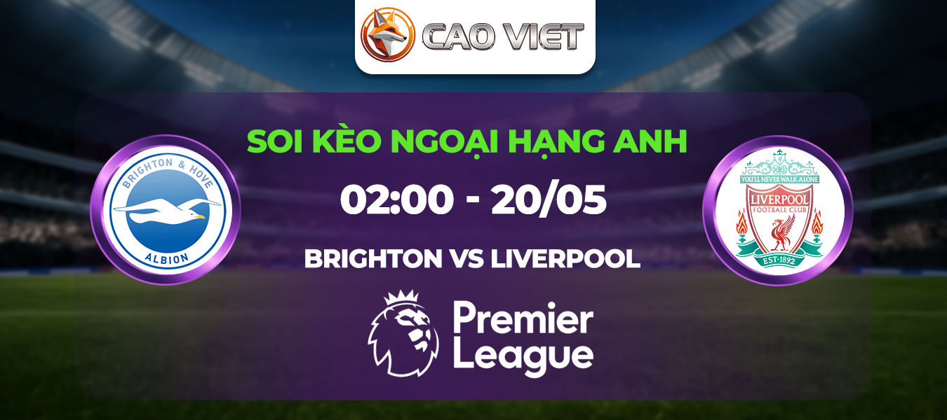 Soi kèo Brighton đấu với Liverpool ngày 20/05: Cuộc dạo chơi tại The Amex
