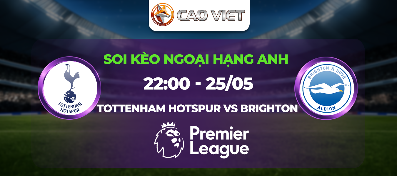 Soi kèo Tottenham Hotspur đấu với Brighton ngày 25/05: Trở về mặt đất sau chức vô địch Europa League