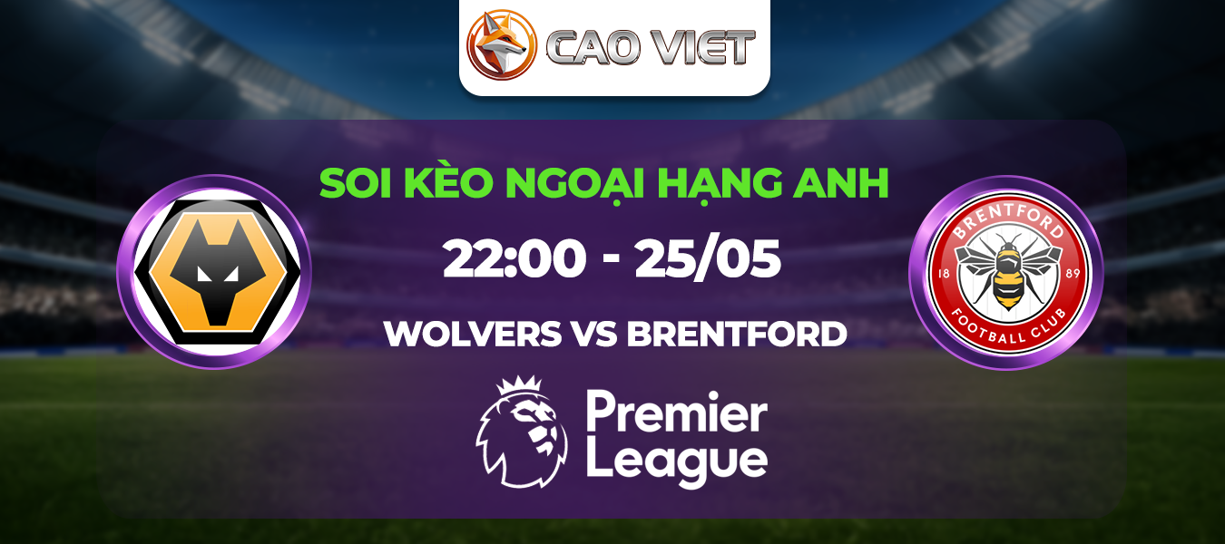 Soi kèo Wolvers đấu với Brentford ngày 25/05: Trận chiến cuối cùng tại Molineux