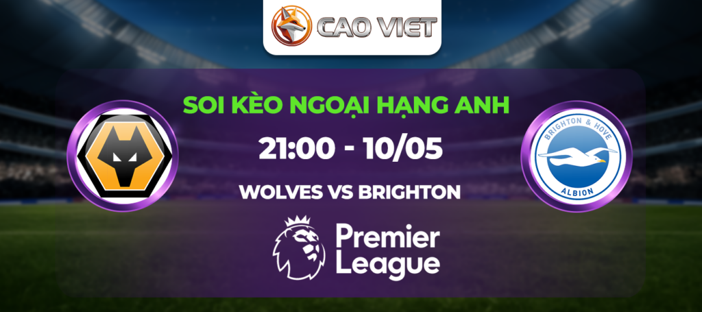 soi kèo trận Wolves vs Brighton